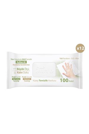 Turco Doğadan Pratik Yüzey Temizlik Havlusu 12x100 (1200 Yaprak)