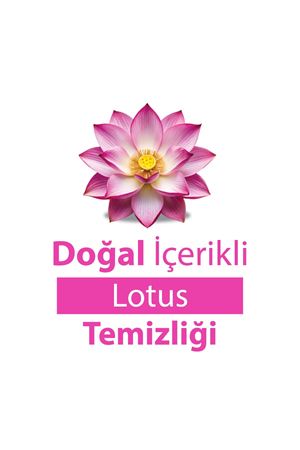 Turco Doğadan Pratik Yüzey Temizlik Havlusu Lotus 8x100 (800 Yaprak)